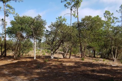 Helårsgrund i Vau, Leiria, Vau - € 1.300.000 | Ref: BL1344 - foto 8