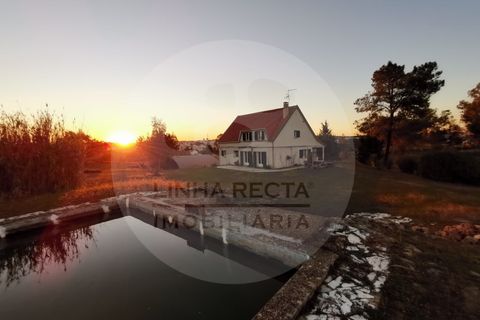 Farm hus i Almodovar, Beja, Almodovar - € 430.000 | Ref: QV-002.22 - foto 45