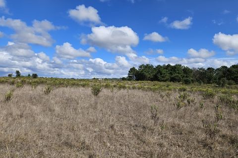 Helårsgrund i Santo Onofre e Serra do Bouro, Leiria, Santo Onofre e Serra do Bouro - € 3.250.000 | Ref: BL1143 - foto 10