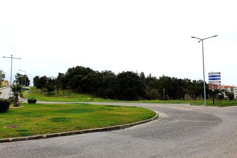 Terra a Santo Onofre e Serra do Bouro, Leiria, Santo Onofre e Serra do Bouro - € 1.300.000 | Ref: BL520 - foto 2