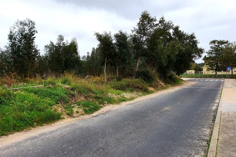 Terra a Santo Onofre e Serra do Bouro, Leiria, Santo Onofre e Serra do Bouro - € 1.300.000 | Ref: BL520 - foto 7