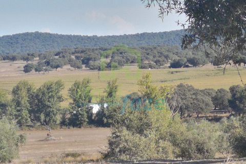Herregård i Arraiolos, Evora, Arraiolos - € 1 900 000 | Ref: 938 - foto 2