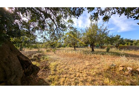 Landejendom i Tavira, Faro, Tavira - € 595.000 | Ref: CAS_STO_ESTEVA - foto 28