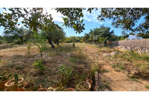 Landejendom i Tavira, Faro, Tavira - € 595.000 | Ref: CAS_STO_ESTEVA - foto 29