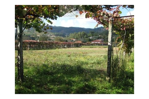 Helårsgrund i Arcos de Valdevez, Viana do Castelo, Arcos de Valdevez - € 111.500 | Ref: JS3972007 - foto 3