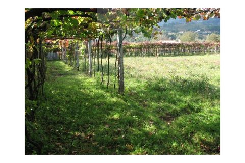 Helårsgrund i Arcos de Valdevez, Viana do Castelo, Arcos de Valdevez - € 111.500 | Ref: JS3972007 - foto 4