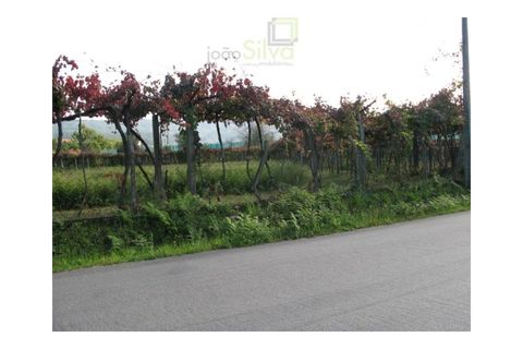 Helårsgrund i Arcos de Valdevez, Viana do Castelo, Arcos de Valdevez - € 111.500 | Ref: JS3972007 - foto 8