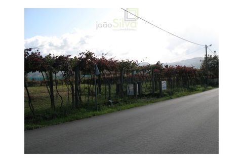 Helårsgrund i Arcos de Valdevez, Viana do Castelo, Arcos de Valdevez - € 111.500 | Ref: JS3972007 - foto 10