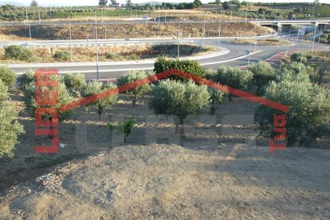 Villa em Vila Flor, Braganca, Vila Flor - € 690.000 | Ref: 0569 - foto 22