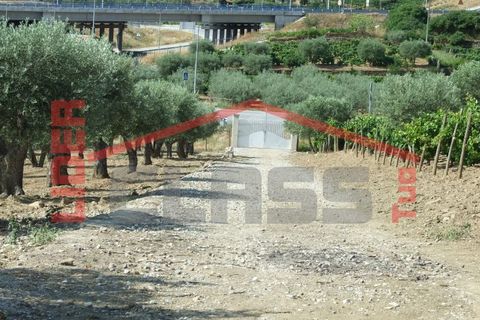 Villa em Vila Flor, Braganca, Vila Flor - € 690.000 | Ref: 0569 - foto 24