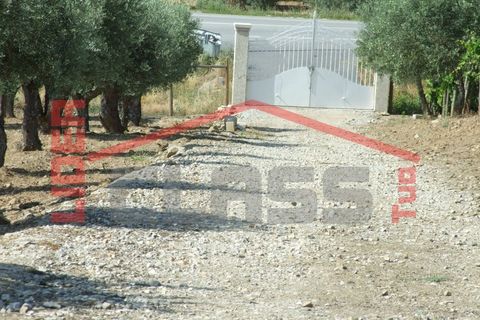 Villa em Vila Flor, Braganca, Vila Flor - € 690.000 | Ref: 0569 - foto 26