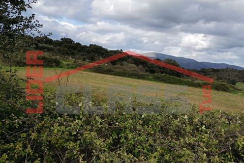 Terra em Vila Flor, Braganca, Vila Flor - € 12.500 | Ref: SÒL_1228 - foto 4