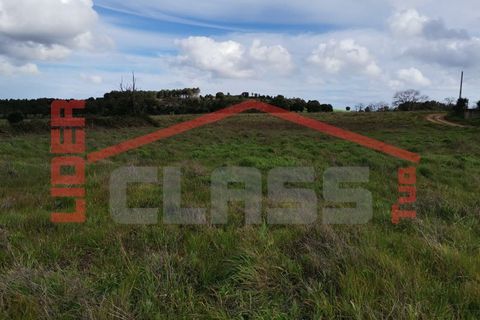 Terra em Vila Flor, Braganca, Vila Flor - € 12.500 | Ref: SÒL_1228 - foto 5