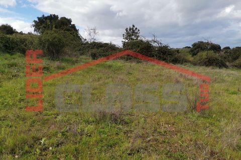 Terra em Vila Flor, Braganca, Vila Flor - € 12.500 | Ref: SÒL_1228 - foto 7
