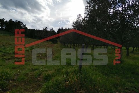 Terra em Vila Flor, Braganca, Vila Flor - € 12.500 | Ref: SÒL_1228 - foto 8