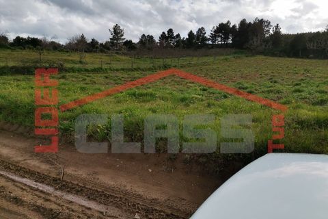 Terra em Vila Flor, Braganca, Vila Flor - € 12.500 | Ref: SÒL_1228 - foto 12