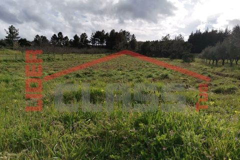 Terra em Vila Flor, Braganca, Vila Flor - € 12.500 | Ref: SÒL_1228 - foto 13