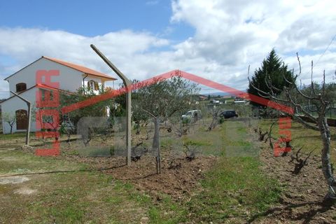 Villa i Mirandela, Braganca, Mirandela - € 245.000 | Ref: 0718 - foto 21