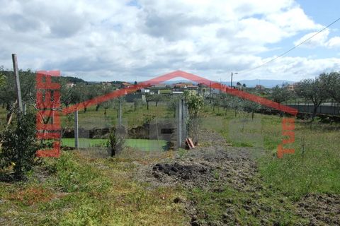 Villa i Mirandela, Braganca, Mirandela - € 245.000 | Ref: 0718 - foto 22