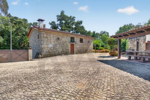 Villa em Sever do Vouga, Aveiro, Sever do Vouga - € 399.000 | Ref: KWPT-035880 - foto 21