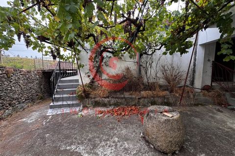 Villa a Valongo de Milhais, Vila Real, Valongo de Milhais - € 47.500 | Ref: CM01-0189 - foto 13