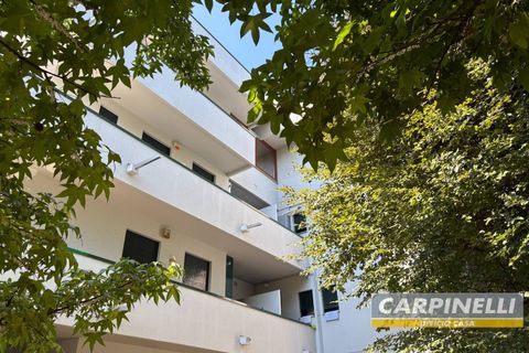 Wohnung in Desio, Monza and Brianza, Desio - € 315.000 | Ref: 237 - Foto 42