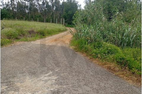 Terra em Arouca, Aveiro, Arouca - € 50.000 | Ref: KWPT-031385 - foto 1