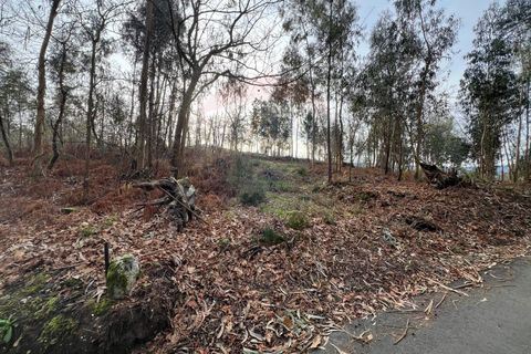 Helårsgrund i Arcos de Valdevez, Viana do Castelo, Arcos de Valdevez - € 30.000 | Ref: 126371020-30 - foto 10