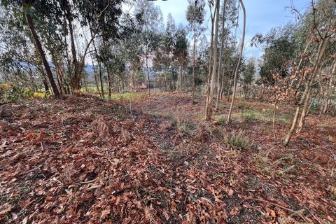 Helårsgrund i Arcos de Valdevez, Viana do Castelo, Arcos de Valdevez - € 30.000 | Ref: 126371020-30 - foto 11