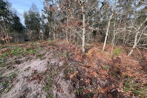 Helårsgrund i Arcos de Valdevez, Viana do Castelo, Arcos de Valdevez - € 30.000 | Ref: 126371020-30 - foto 12