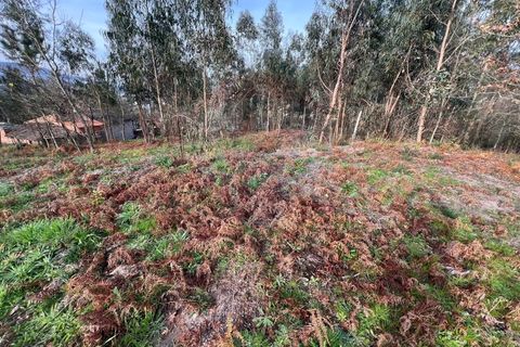 Helårsgrund i Arcos de Valdevez, Viana do Castelo, Arcos de Valdevez - € 30.000 | Ref: 126371020-30 - foto 14