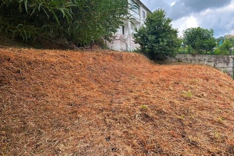 Helårsgrund i Arcos de Valdevez, Viana do Castelo, Arcos de Valdevez - € 63.000 | Ref: 1094-7 - foto 6