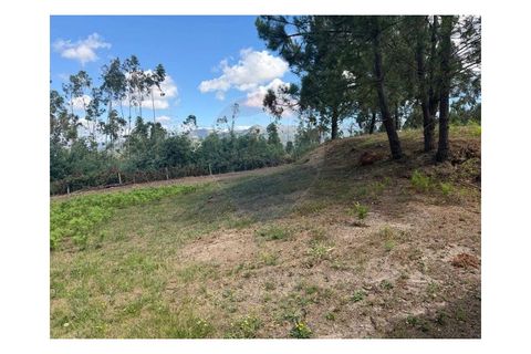 Villa i Arcos de Valdevez, Viana do Castelo, Arcos de Valdevez - € 67.000 | Ref: 1074-96 - foto 10