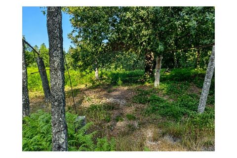 Villa i Arcos de Valdevez, Viana do Castelo, Arcos de Valdevez - € 67.000 | Ref: 1074-96 - foto 11