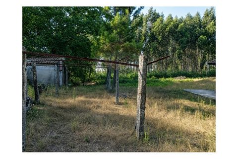 Villa i Arcos de Valdevez, Viana do Castelo, Arcos de Valdevez - € 67.000 | Ref: 1074-96 - foto 16