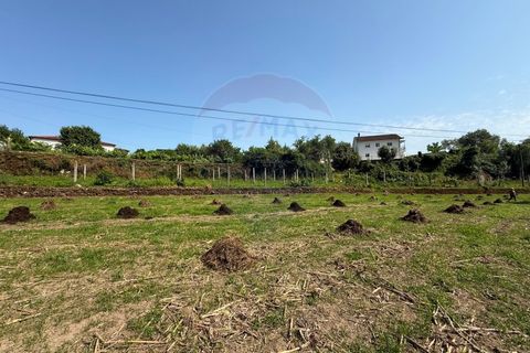 Helårsgrund i Arcos de Valdevez, Viana do Castelo, Arcos de Valdevez - € 31.500 | Ref: 1020-55 - foto 2