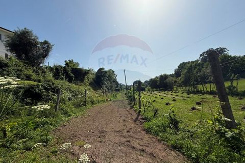Helårsgrund i Arcos de Valdevez, Viana do Castelo, Arcos de Valdevez - € 31.500 | Ref: 1020-55 - foto 5
