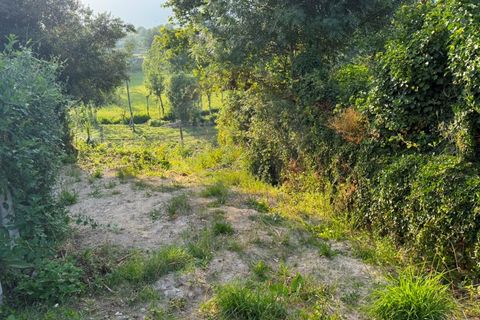 Helårsgrund i Arcos de Valdevez, Viana do Castelo, Arcos de Valdevez - € 31.500 | Ref: 1020-55 - foto 9