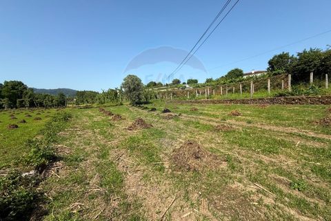 Helårsgrund i Arcos de Valdevez, Viana do Castelo, Arcos de Valdevez - € 31.500 | Ref: 1020-55 - foto 11