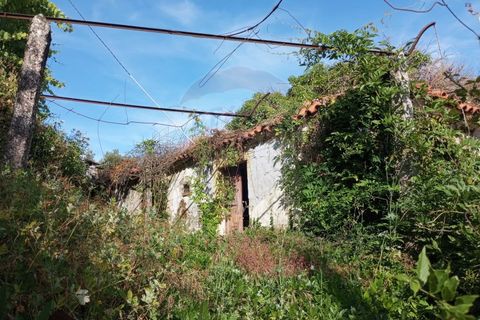 Landejendom i Arcos de Valdevez, Viana do Castelo, Arcos de Valdevez - € 64.000 | Ref: 1074-126 - foto 9