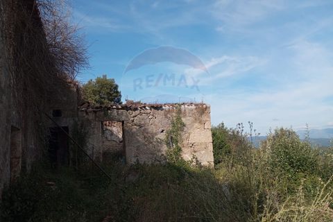 Landejendom i Arcos de Valdevez, Viana do Castelo, Arcos de Valdevez - € 64.000 | Ref: 1074-126 - foto 10
