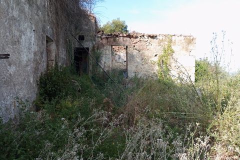 Landejendom i Arcos de Valdevez, Viana do Castelo, Arcos de Valdevez - € 64.000 | Ref: 1074-126 - foto 11