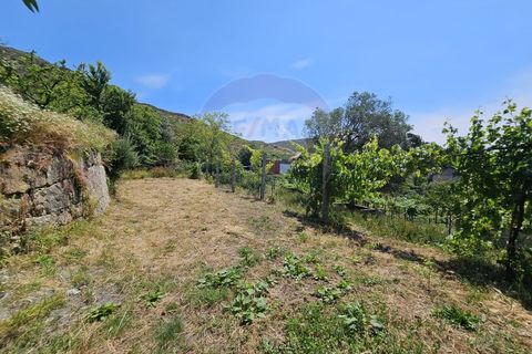 Farm i Arcos de Valdevez, Viana do Castelo, Arcos de Valdevez - € 215.000 | Ref: 126371020-54 - foto 11
