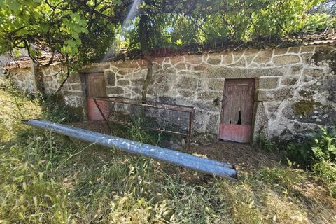Farm i Arcos de Valdevez, Viana do Castelo, Arcos de Valdevez - € 215.000 | Ref: 126371020-54 - foto 13