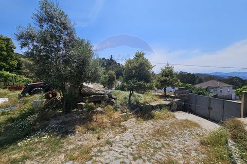 Helårsgrund i Arcos de Valdevez, Viana do Castelo, Arcos de Valdevez - € 46.500 | Ref: 1020-52 - foto 7