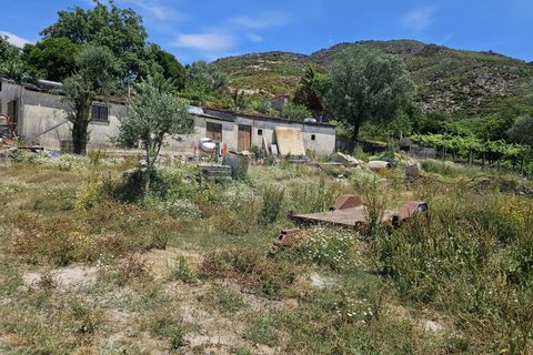 Helårsgrund i Arcos de Valdevez, Viana do Castelo, Arcos de Valdevez - € 46.500 | Ref: 1020-52 - foto 8