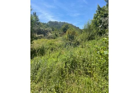 Villa i Arcos de Valdevez, Viana do Castelo, Arcos de Valdevez - € 400.000 | Ref: 123721104-2 - foto 8