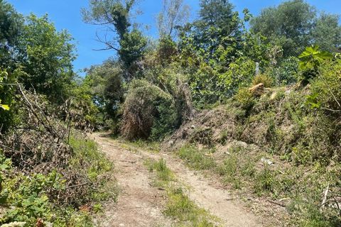 Villa i Arcos de Valdevez, Viana do Castelo, Arcos de Valdevez - € 400.000 | Ref: 123721104-2 - foto 9