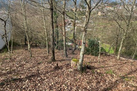 Helårsgrund i Arcos de Valdevez, Viana do Castelo, Arcos de Valdevez - € 51.150 | Ref: 1074-133 - foto 10