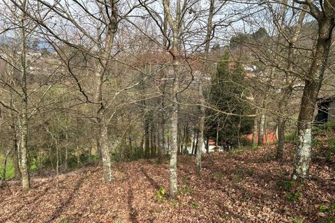 Helårsgrund i Arcos de Valdevez, Viana do Castelo, Arcos de Valdevez - € 51.150 | Ref: 1074-133 - foto 13